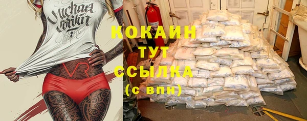 прущая мука Рославль