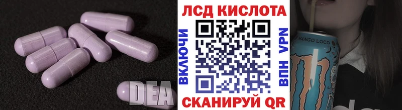 где купить наркотик  Всеволожск  LSD-25 экстази ecstasy 
