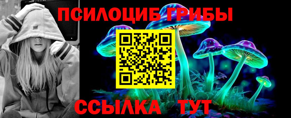 Галлюциногенные грибы мицелий  Вход с VPN  Всеволожск  Галлюциногенные грибы мицелий 