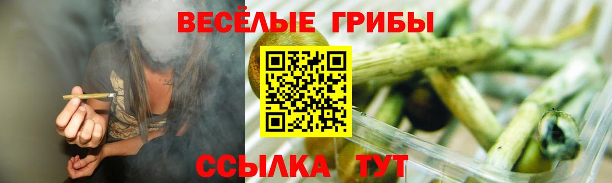Галлюциногенные грибы Cubensis Всеволожск