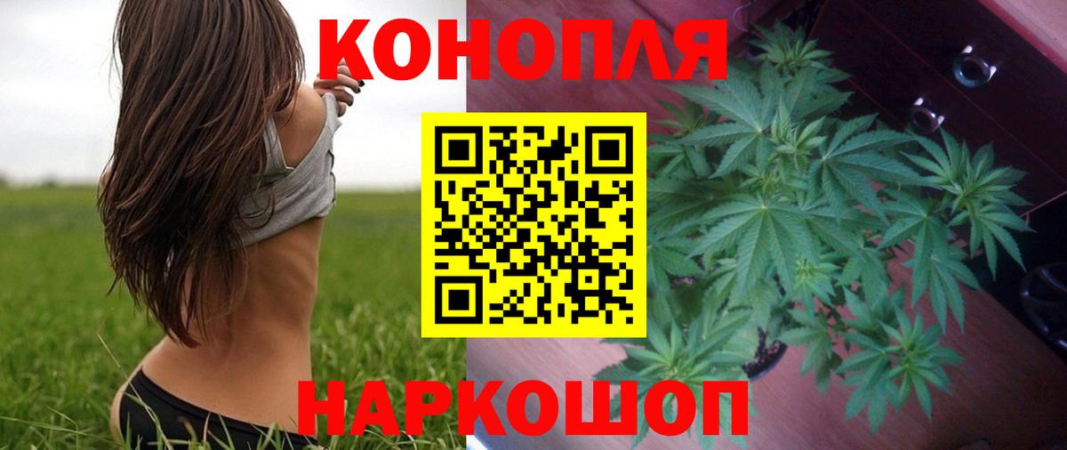 МАРИХУАНА индика  Шишки марихуана Amnesia  Вход с VPN  Всеволожск  Конопля Amnesia  Канабис планчик 